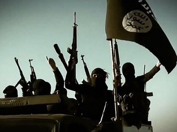 В Турции задержали 9 подозреваемых в связях с ИГ - ảnh 1